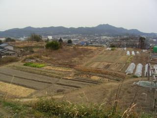 木山神社からの眺望