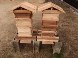 日本ミツバチ養蜂箱