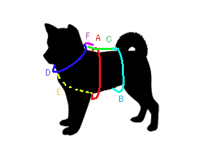 犬の寸法図