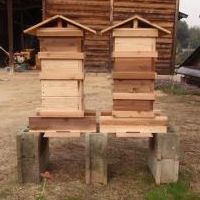 日本ミツバチ用の巣箱