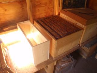 養蜂巣箱の配置