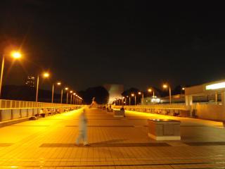 上野駅パンダ橋の夜景