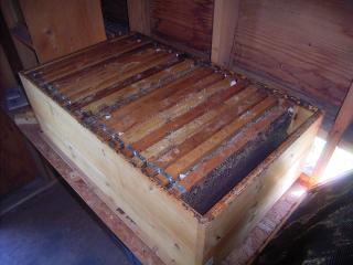 養蜂箱20枚箱