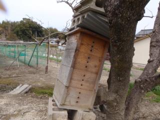 傾いたミツバチの巣箱