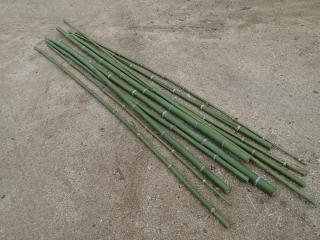 細長い竹