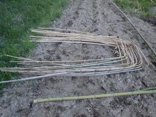 竹を曲げる