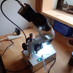 顕微鏡に取り付けたUSBカメラ