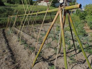 夏野菜用園芸支柱の作り方